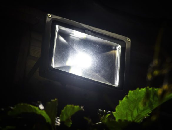 LED garden spotlight mounted on a building