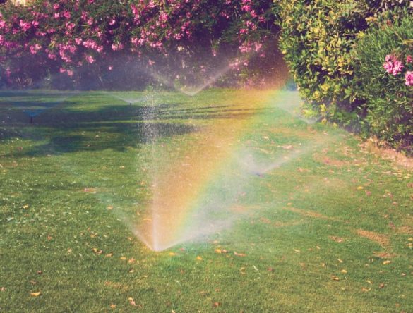 Multiple sprinklers watering grass and refracting to show a rainbow
