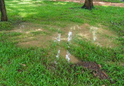 swamp on lawn after the rain that needs to be taken care of