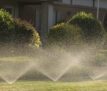 The spray from these lawn sprinklers glowed in the warm, early morning light in this suburban neighborhood.