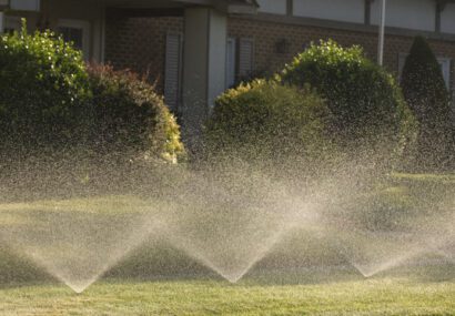 The spray from these lawn sprinklers glowed in the warm, early morning light in this suburban neighborhood.