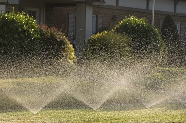 The spray from these lawn sprinklers glowed in the warm, early morning light in this suburban neighborhood.