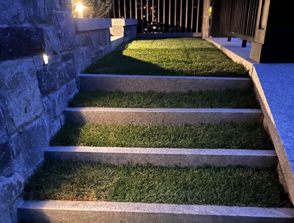 Landscape lighting on grass stairs outside